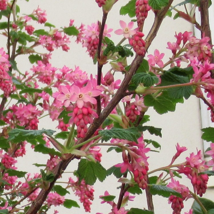 SPRING IS BACK !