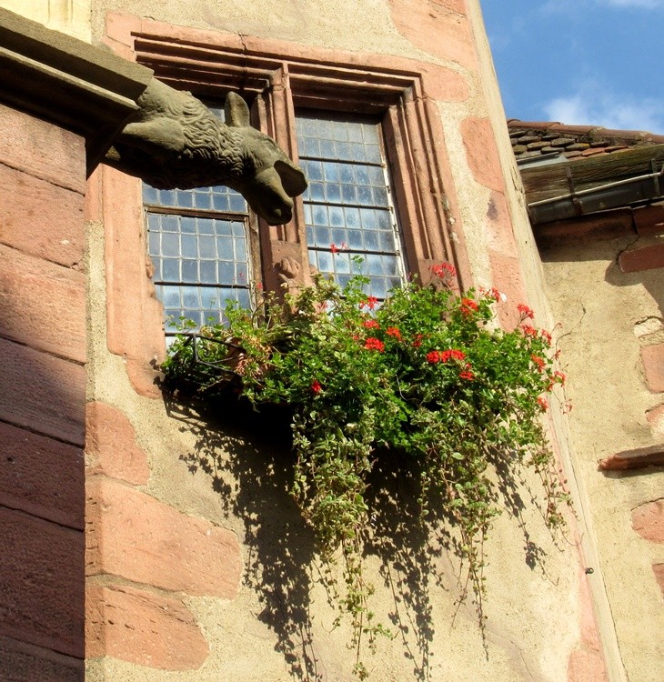 GARGOYLE IN ALSACE