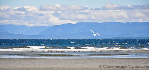 Miracle Beach, Campbell River BC