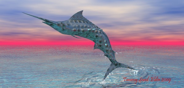 Marlin dancing