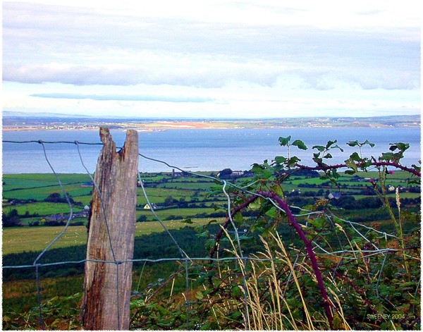 WIRE FENCE-IRELAND