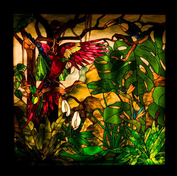Rainforest
