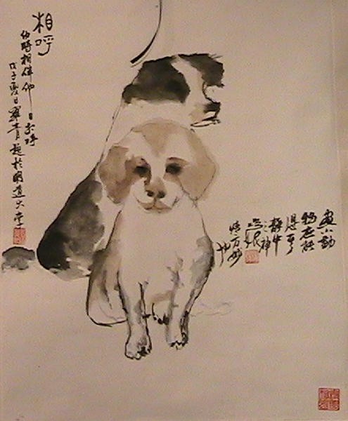 two dogs