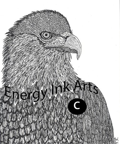 sjkrueger golden eagle watermark