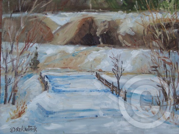 Snow Cover