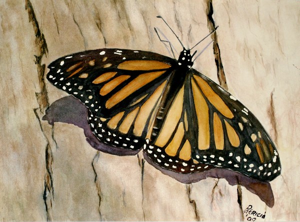 Monarch Butterfly