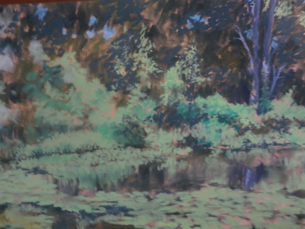 Lily Pond