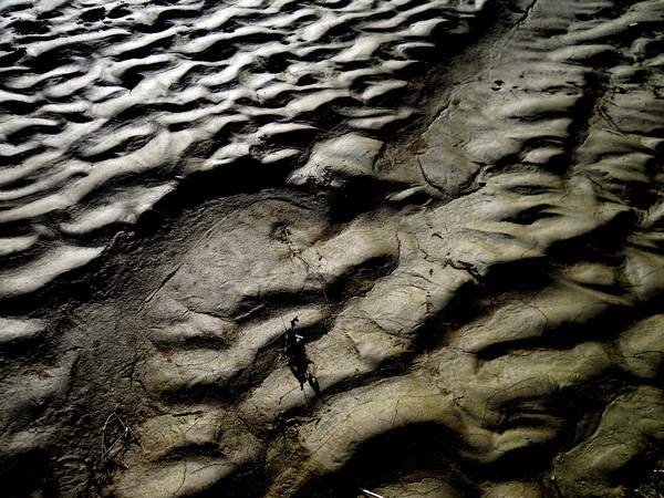 mud