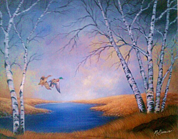Birch Tree Morning