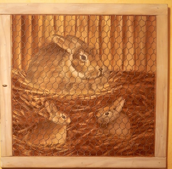 the caged lapins