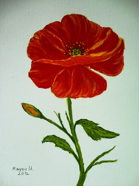Red poppy