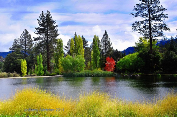 Fall at Ferns Lake