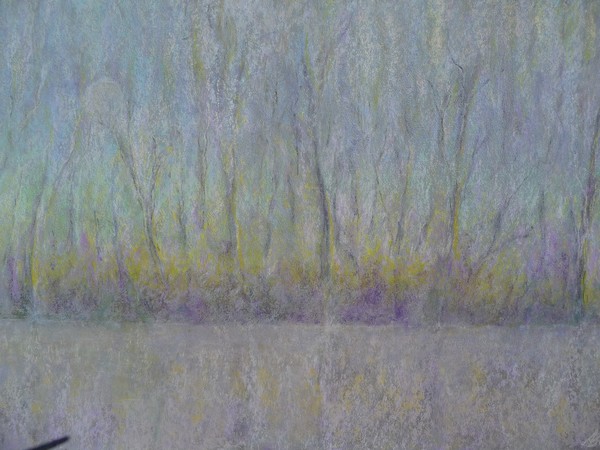 Forest Slumber