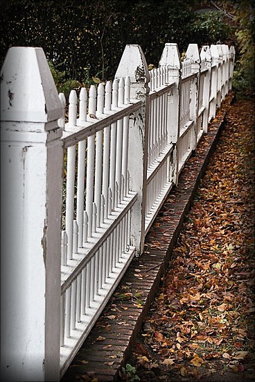 White Picket Fence