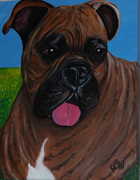 Boxer