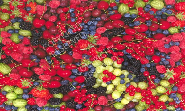 (22) Berries