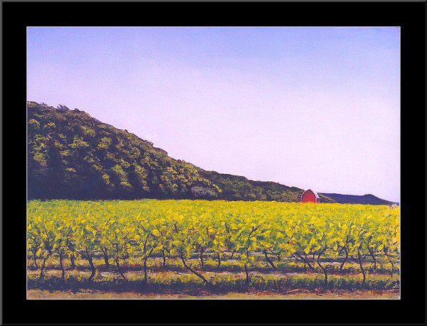 Vineyards Of E.D. Smith