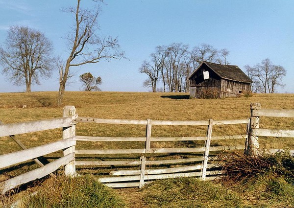 Dorothy Doesn't Live Here Anymore