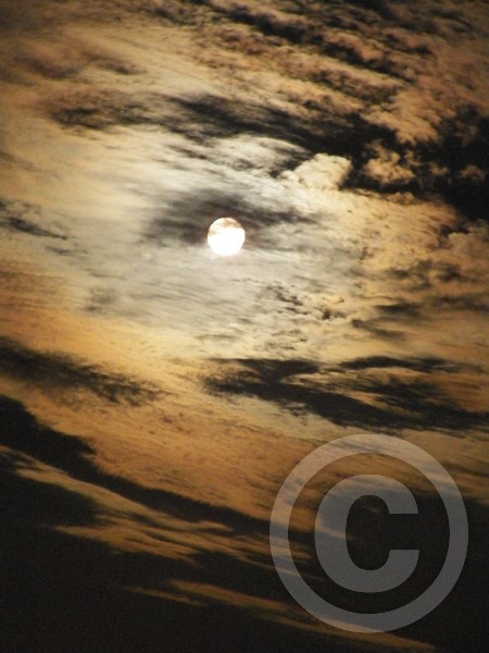 Blue Corn Moon