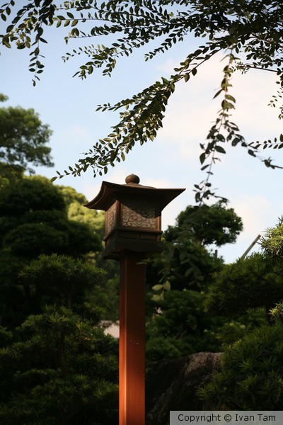 IMG 8000