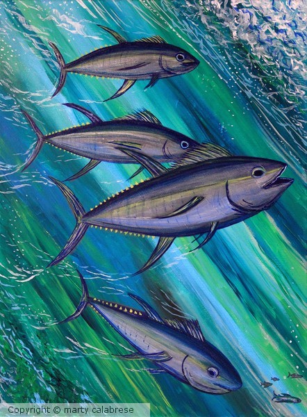 Tuna Time