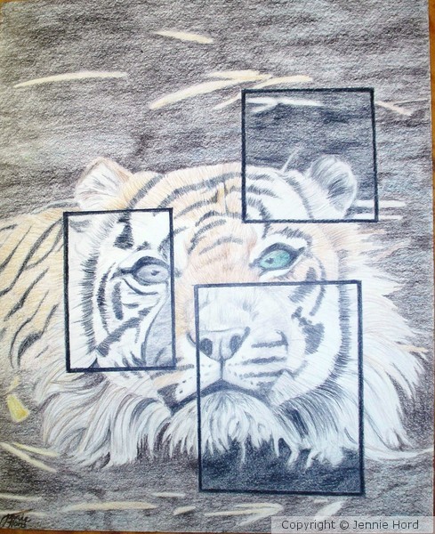 Drawings 2008