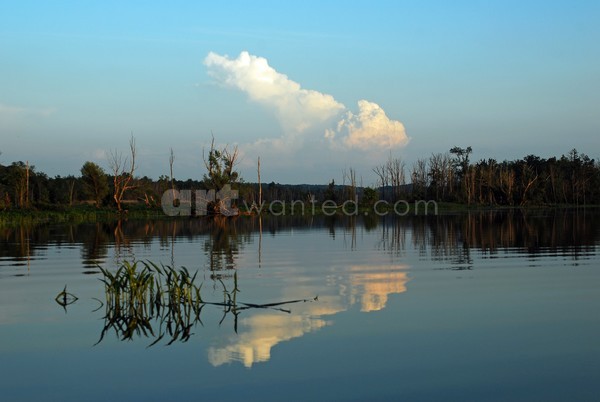 Cloud Reflections I