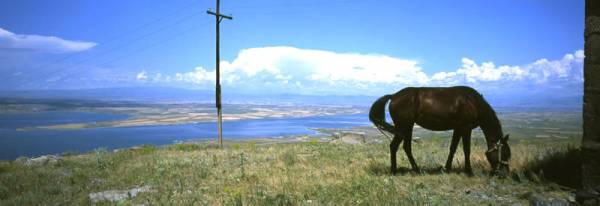 Armenia