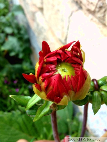 beauty to be.....