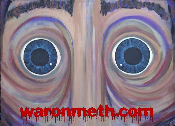 waronmeth.com