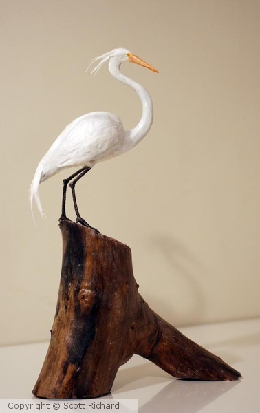 Crane