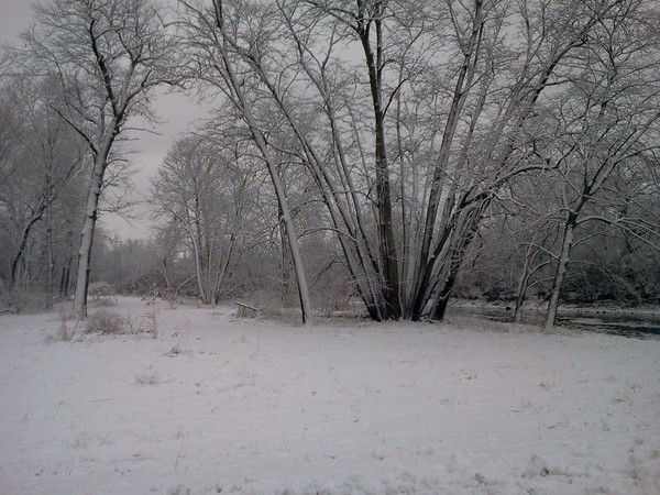 2012 02 24 10.48.37