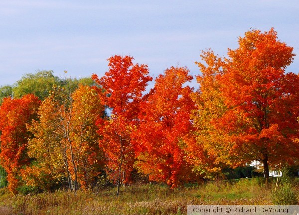 VERMONT AUTUMN
