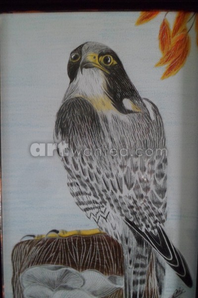kes 001