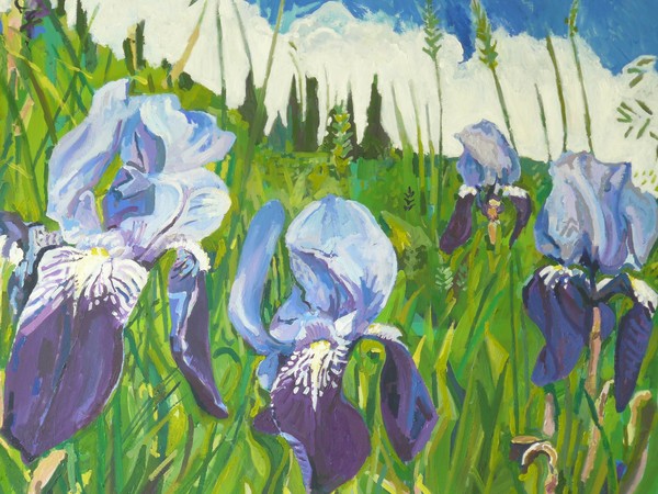 Iris in a landscape