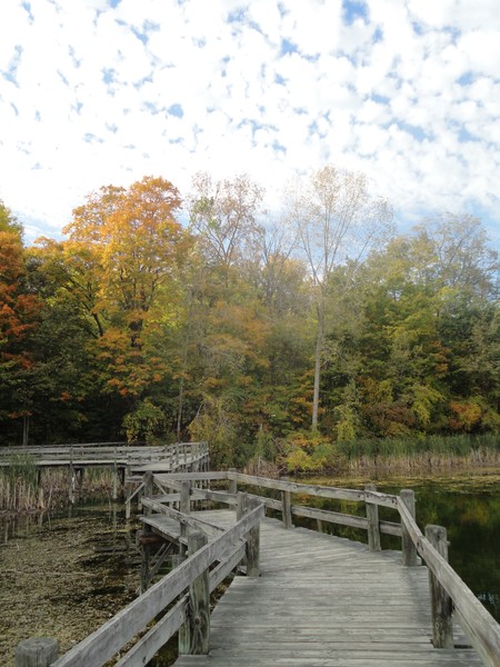 Bridge Into Autumn