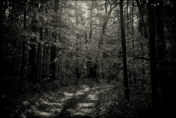 As The Road Turns