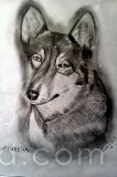 Alaska