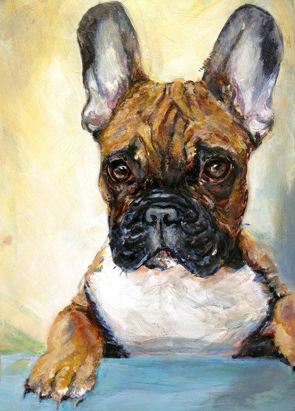 Frenchie