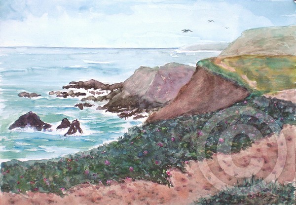 Bodega Headlands