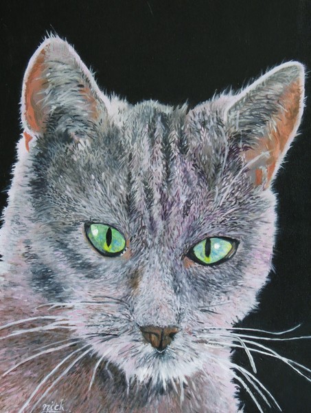 cat portrait