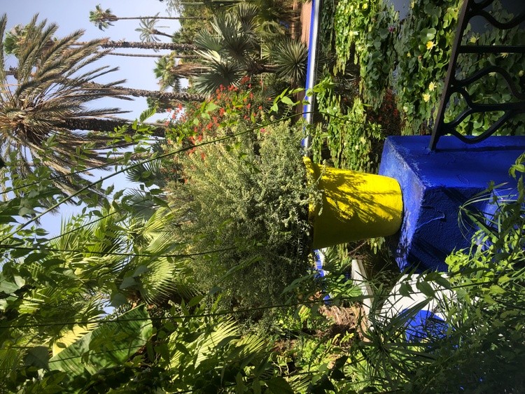 In a blooming garden 