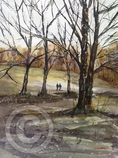 Walk in the park