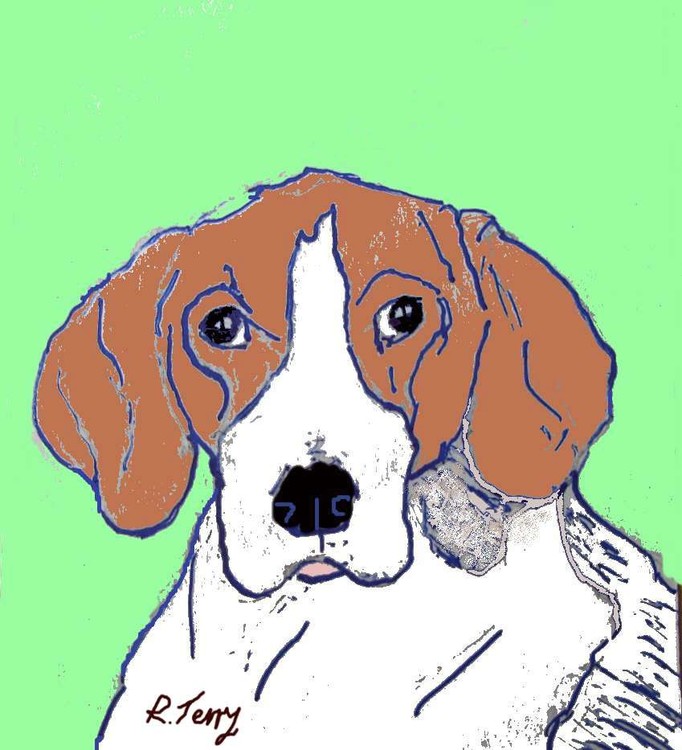 foxhound