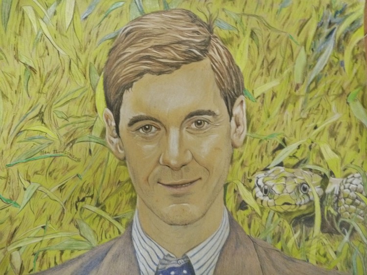 Mr Jacob Rees-Mogg and a snake in the grass
