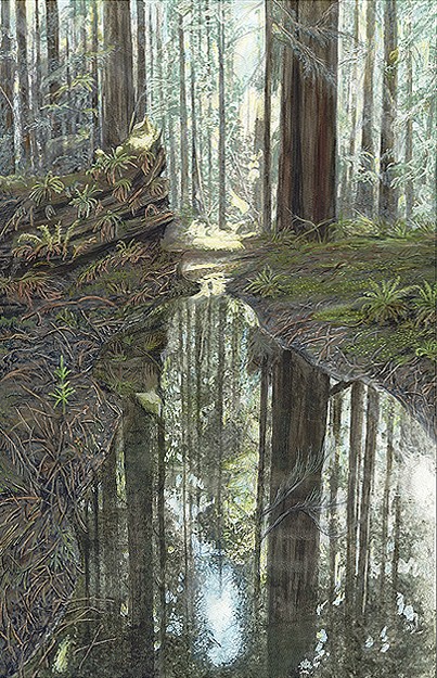 Avenue of Giants Reflections