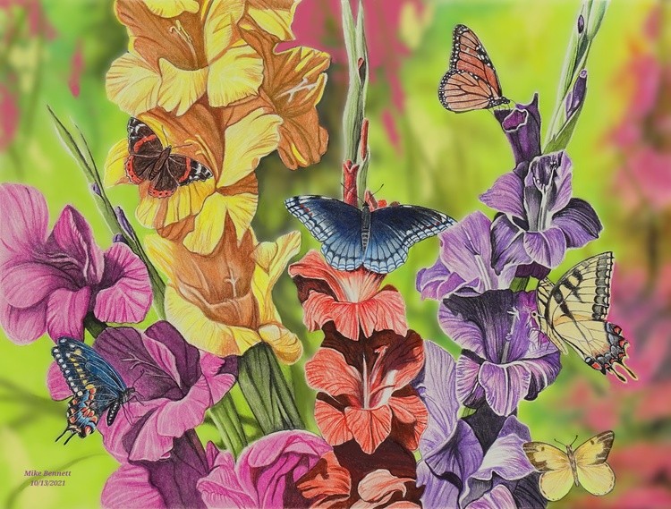 Butterflies & Gladiolas (New Background)