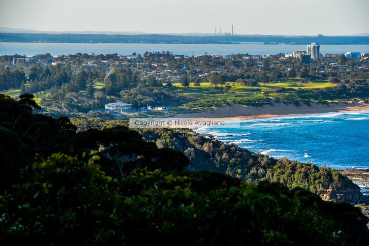 Close up of Shelly Beach