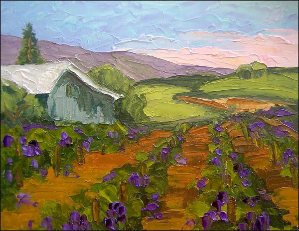 California Vineyard and Barn