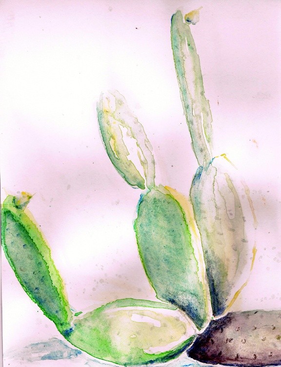 Cactus Watercolor